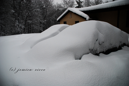 DSC 0449 Blizzard of 2010