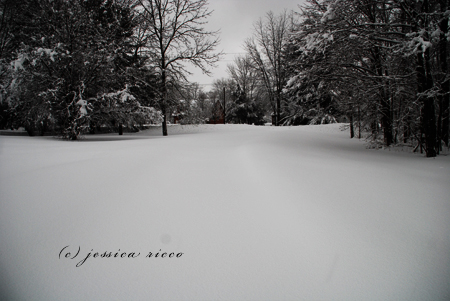 DSC 0481 Blizzard of 2010