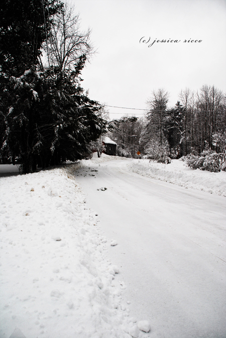 DSC 0483 Blizzard of 2010