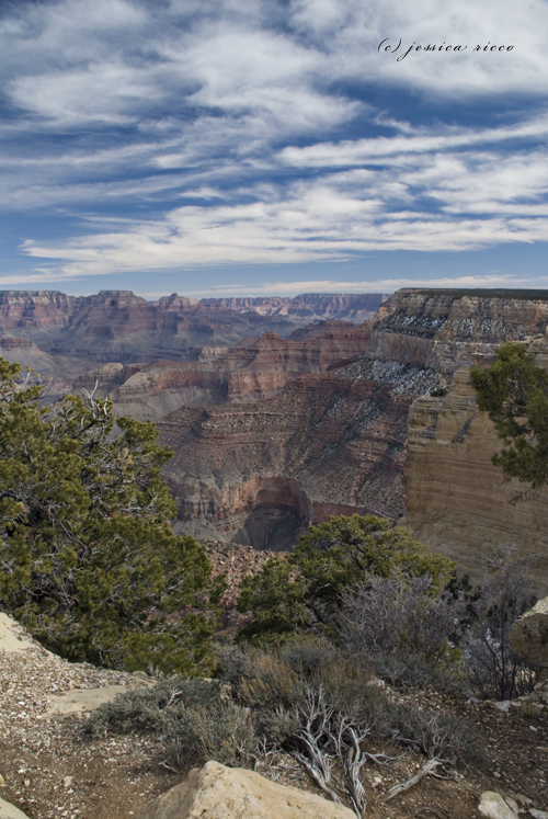 grand-canyon-south-rim-february-2 grand canyon south rim february 2 The Grand Canyon