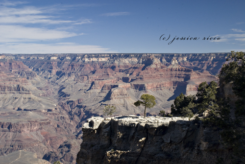 grand-canyon-south-rim-february-9 grand canyon south rim february 9 The Grand Canyon