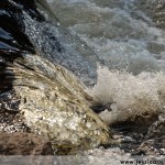jessica ricco photography water 150x150 Fine Art and Fun Photography